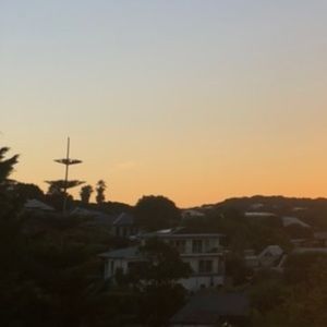 Meet your Posher, Lara